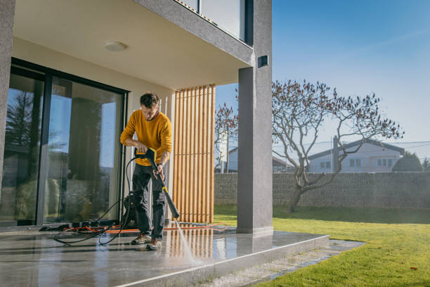 Best Brick and Stone Cleaning in Oakdale, MN